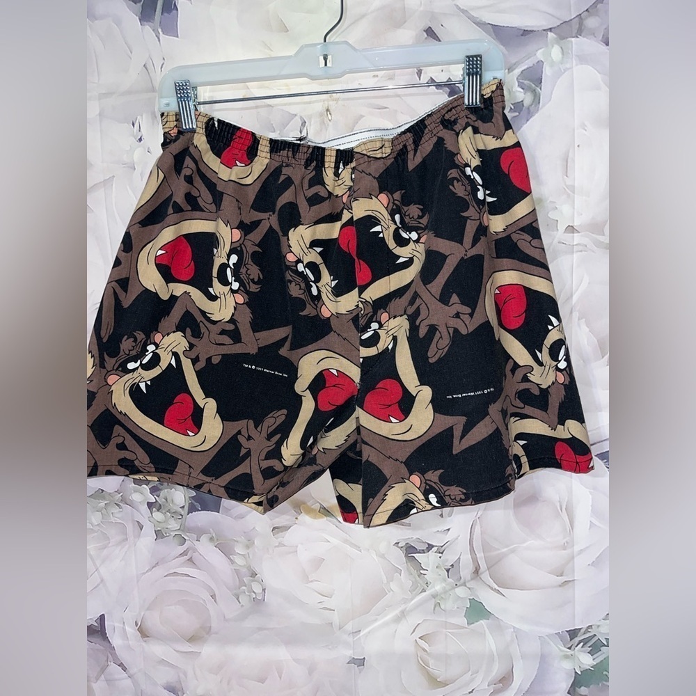 Vintage 1991 Tasmanian Devil Looney Tunes Boxers  Shorts Made In USA Size XL​​​​